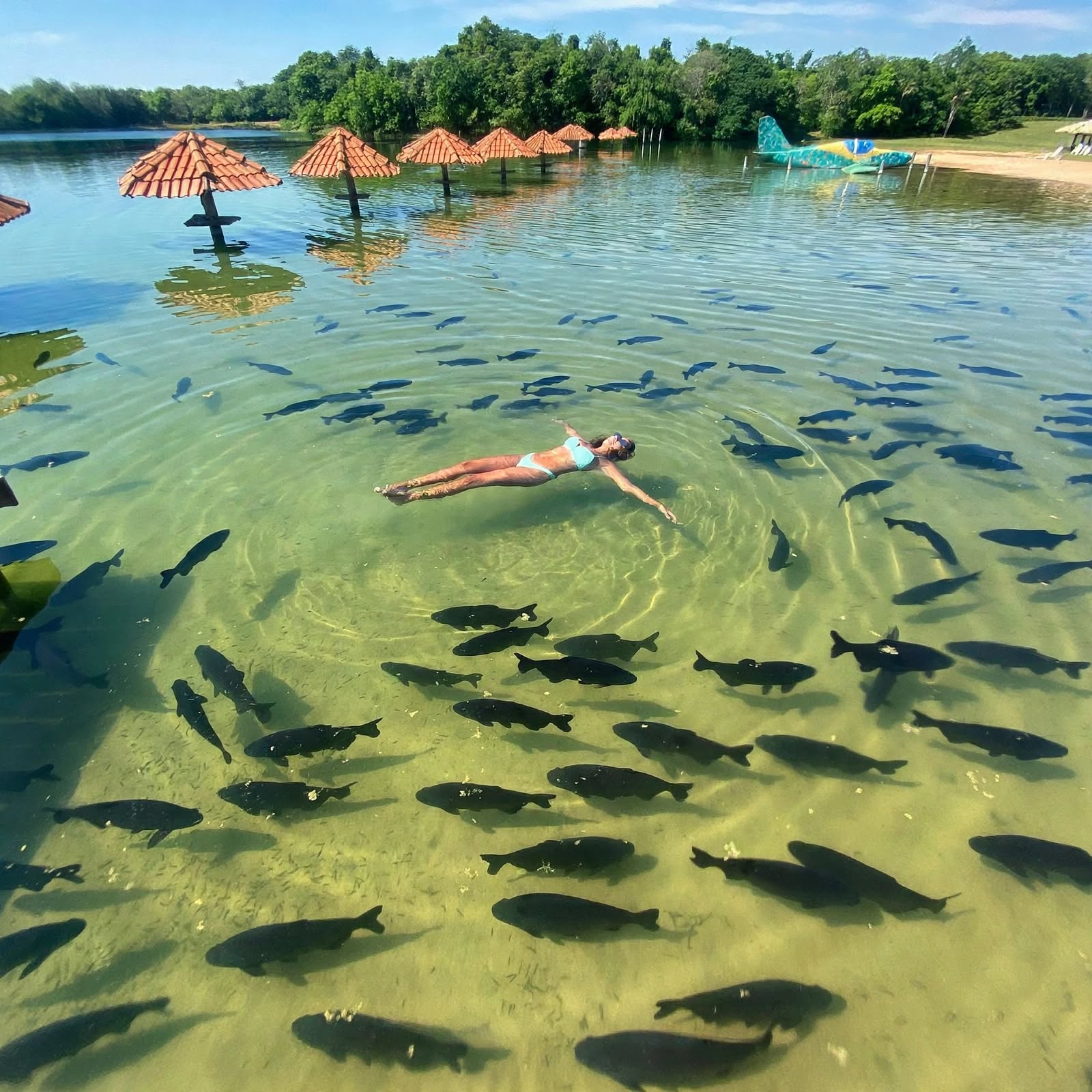 Banhistas flutuando em águas cristalinas com cardume de tambaquis na Lagoa dos Tambaquis em Estância, Sergipe, com quiosques de palha e hidroavião ao fundo no Paraíso dos Tambaquis